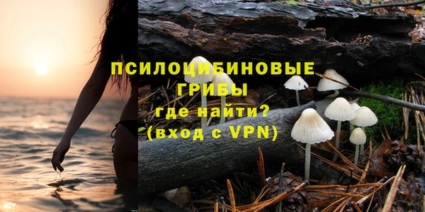 молекула духа Белокуриха