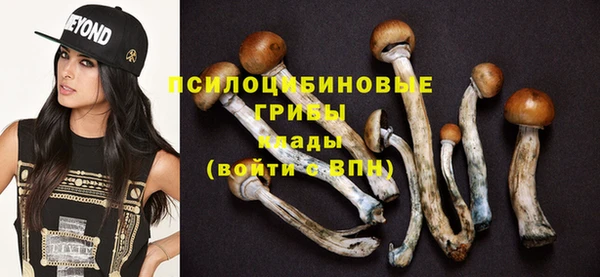 молекула духа Белокуриха