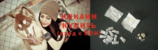 молекула духа Белокуриха