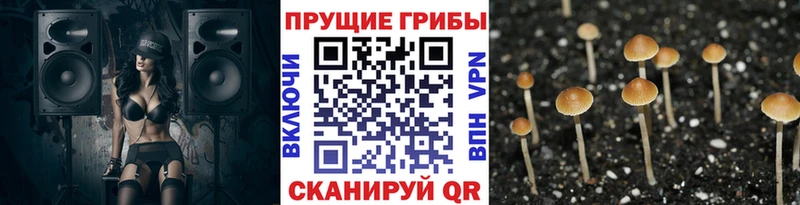 Псилоцибиновые грибы мухоморы Мариинский Посад